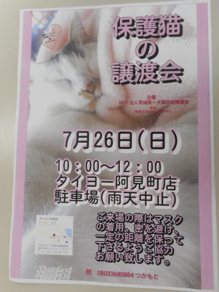 保護猫の譲渡会 7月26日 のお知らせ 阿見町 町民活動センター